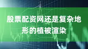 股票配资网还是复杂地形的植被渲染